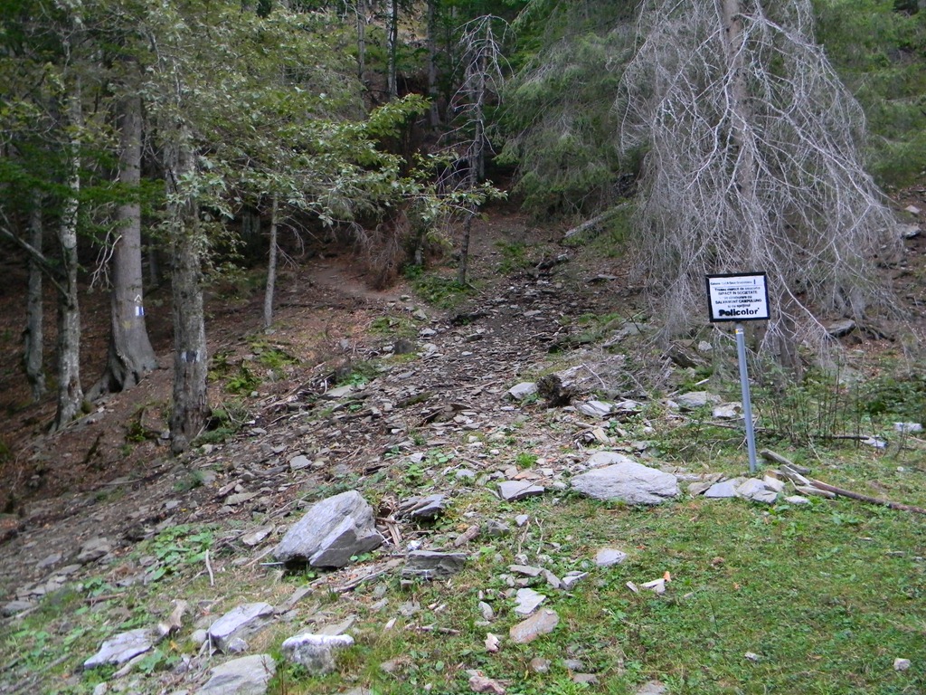 [DSCN57873.jpg]