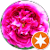 flouserve flouserve