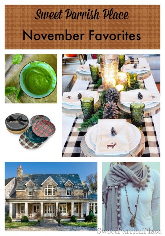 novemberpin6