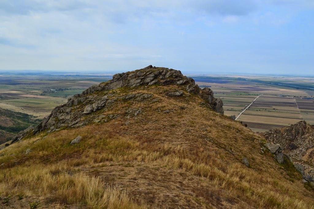 [DSC_64453.jpg]