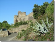 IMG_6534 IMG_6534