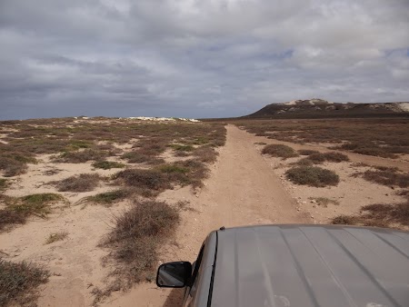 26. Printre dune.JPG