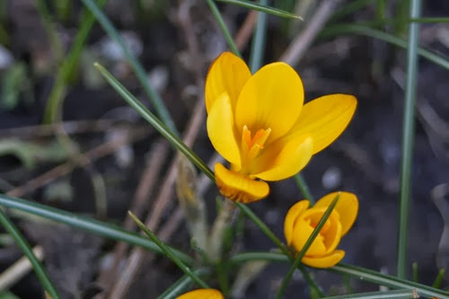 20100310 (3) (Large)