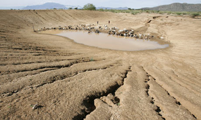Nomadic pastoralists Turkana tribesmen herd goats and sheep to an almost dry dam on the outskirts of Gakong, in northwestern Kenya. Stephen Morrison / EPA
