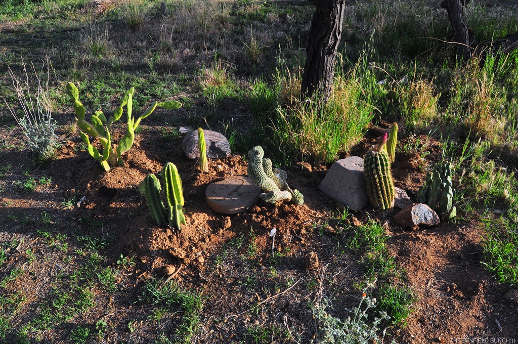 [DSC_0049%255B3%255D.jpg]