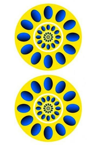 4407006558_2441e04bf0