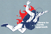 Down To Earth Approach