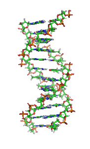 [DNA_orbit_animated_small%255B5%255D.gif]