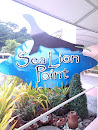 Sea Lion Point