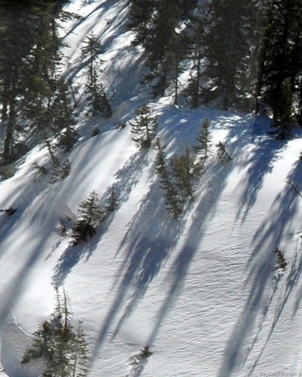 [DSC_0033%255B4%255D.jpg]