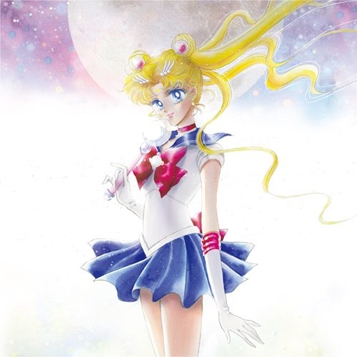 Sailor-Moon_THE-20TH-ANNIVERSARY-MEMORIAL-TRIBUTE