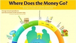 infographic infographic