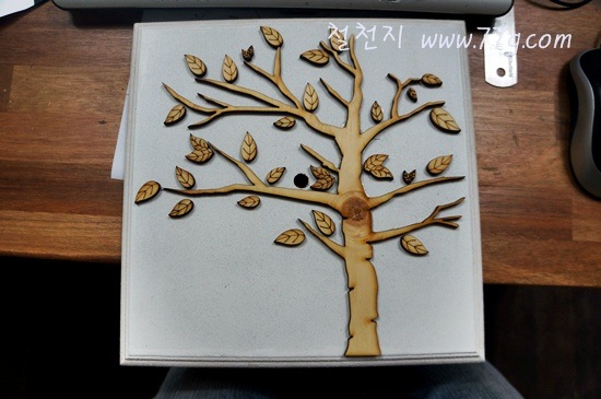 [DSC06283-20130116-1632063.jpg]