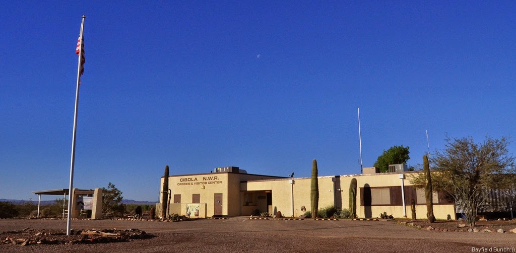 [DSC_0038%255B3%255D.jpg]