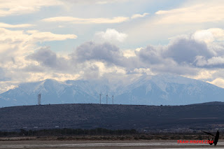 20150221Rouet065.JPG