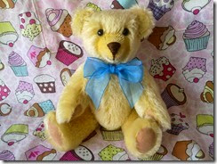 Cream Bear Blue Ribbon after Course