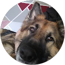 Image Google de Manon Logez