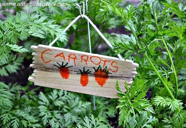 Carrots Garden Marker