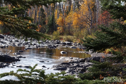 Trail along the Temperance River