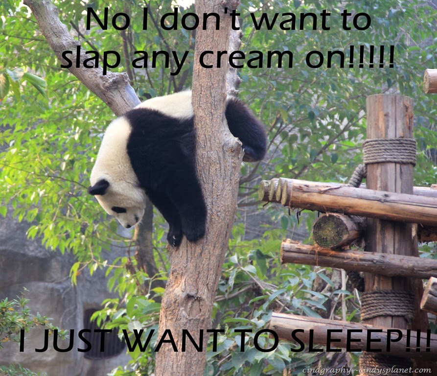 [Chengdu414%255B2%255D.jpg.webp]