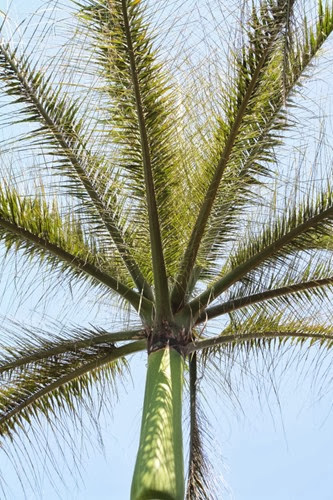 20100301 (16) (Large)