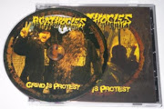 Agathocles