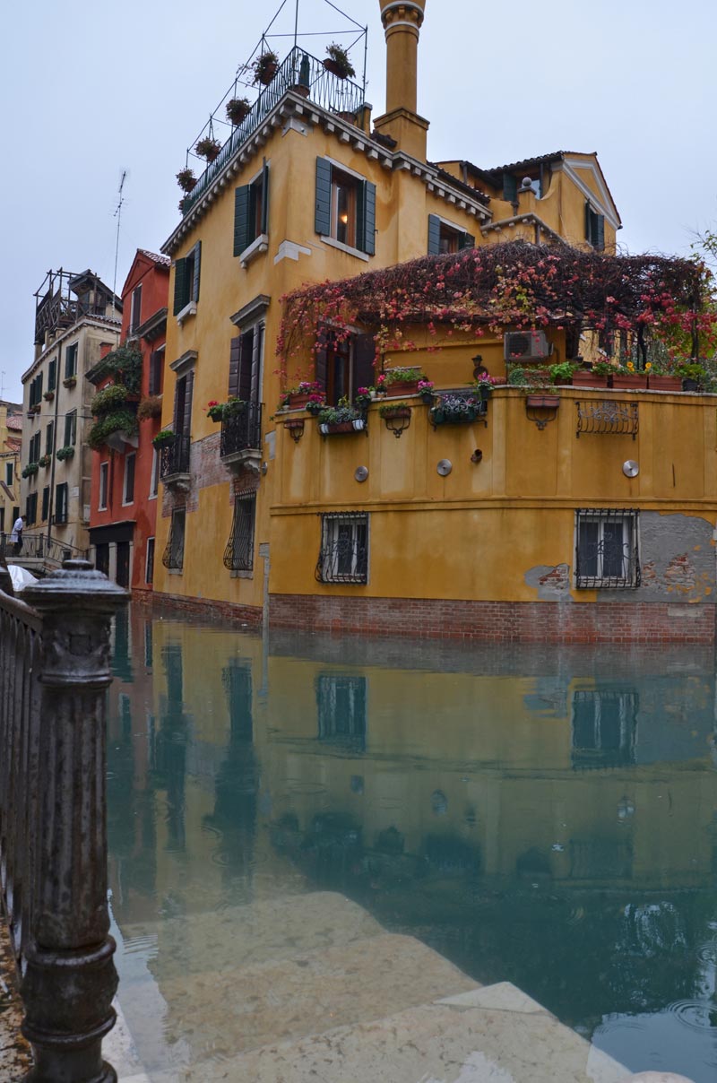 DSC_2387_1w.jpg DSC 2387 1w