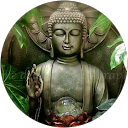 Image Google de Laure Morakis