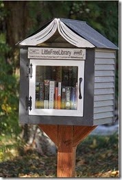 Little Free Library Book Roof