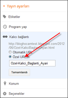 Blogger Özel Kalıcı Bağlantı Ayarı