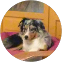 Image Google de sibylle soatto