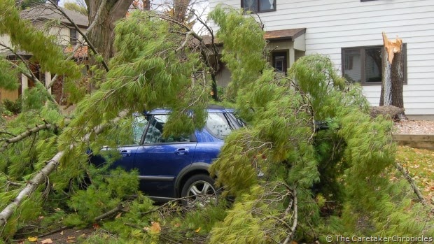 [high-winds-tree-downed-car-bedford-crescent%255B2%255D.jpg]