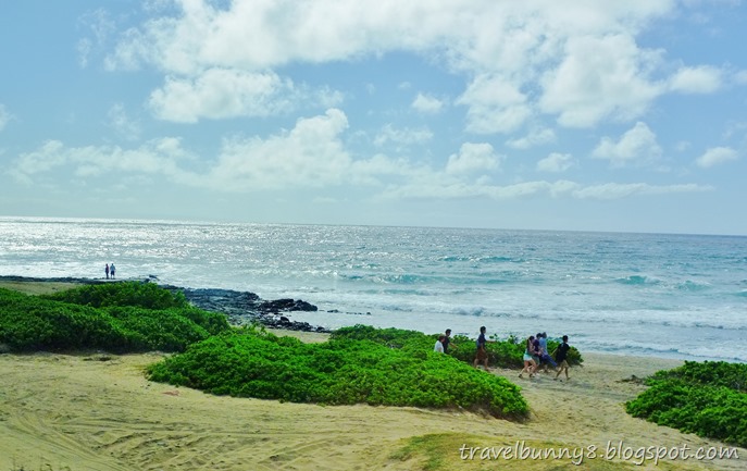 DSCF1186 DSCF1186