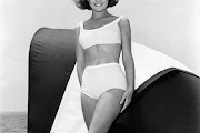 shelley fabres