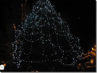 Ashland parade, tree lit up