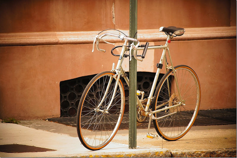 free-bicycle-public-domain-pictures-1 (3)