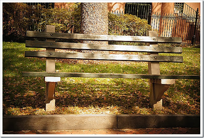 copyright-free-pictures-benches-1 (497)