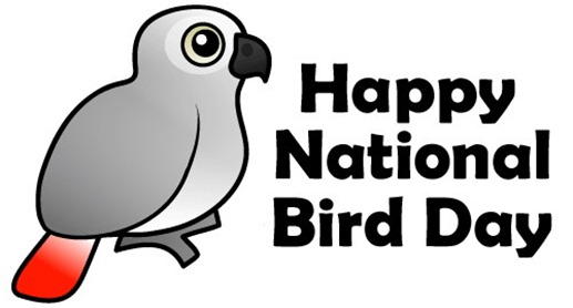 national bird day january 5