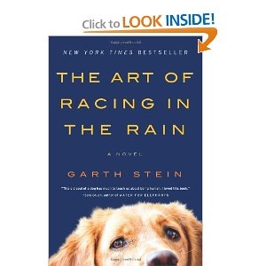 racing in the rain