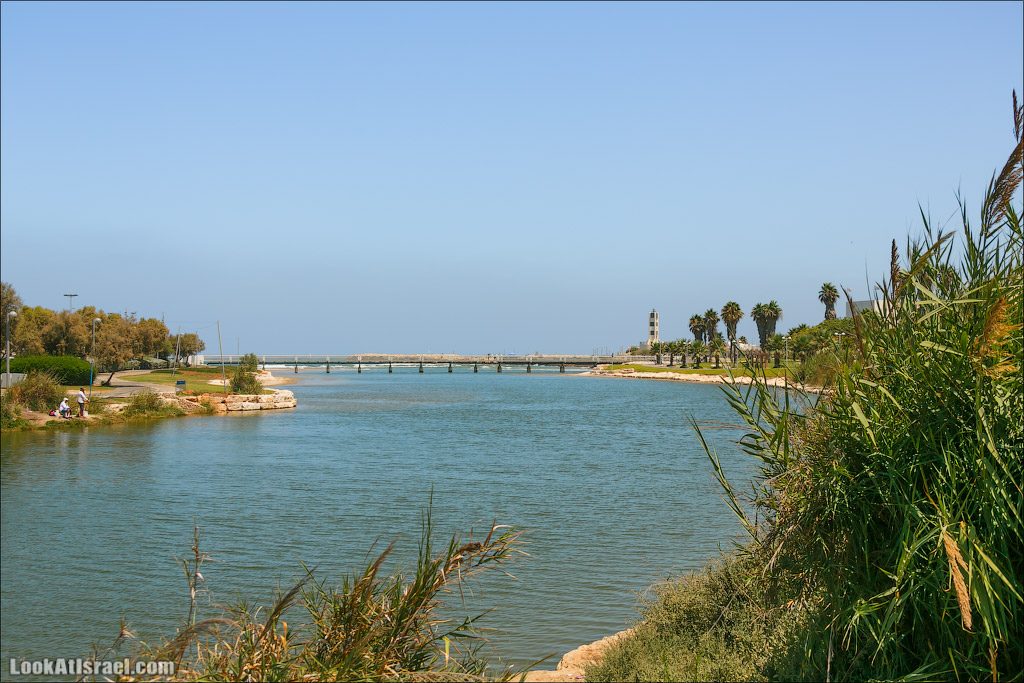 Все интересное с улиц Тель Авива. LookAtIsrael.com - Фото путешествия по Израилю