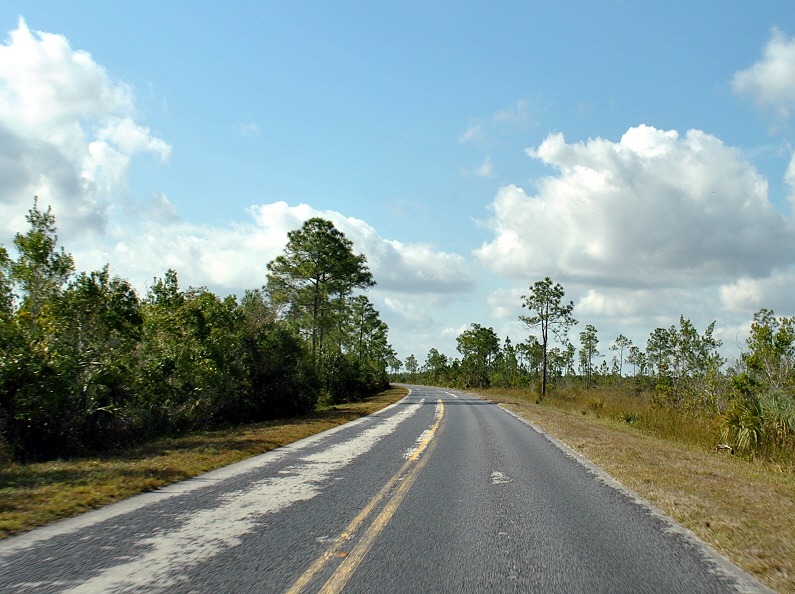 [19---38-mile-drive-through-Everglade.jpg]