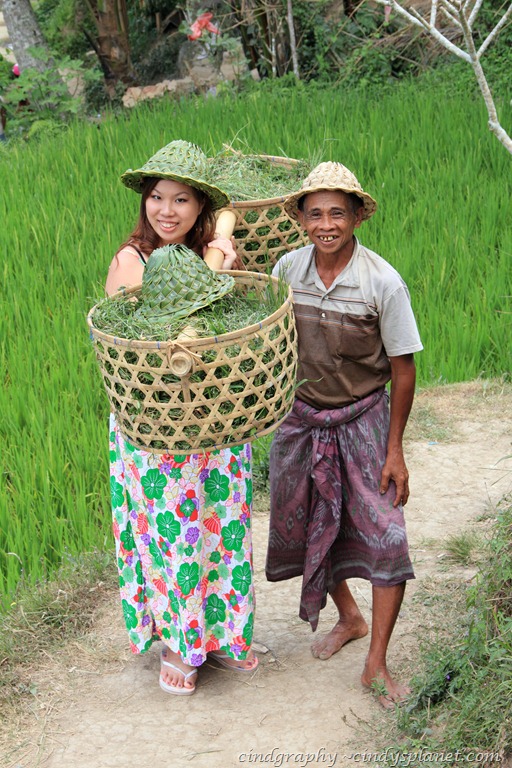 [DPP%2520Bali%2520%2528645%2529%255B3%255D.jpg.webp]