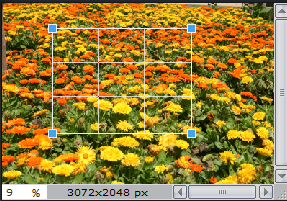 [1%2520-%2520Crop%25202%255B2%255D.png]