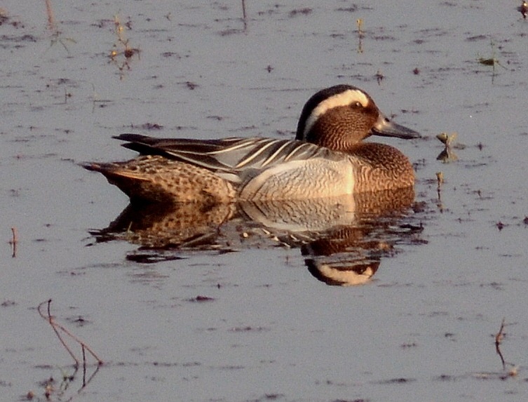 [DSC_1426-2%255B4%255D.jpg]