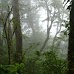 Hiking Volcán Maderas - Isla Ometepe, Nicaragua ometepe_019.jpg