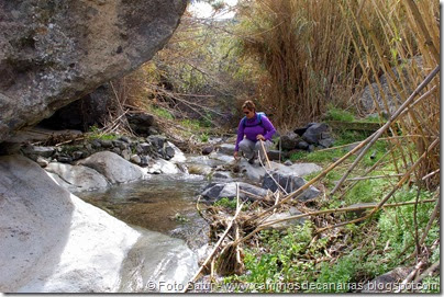 7521 La Goleta-Tejeda(Barranco La Culata) 7521 La Goleta-Tejeda(Barranco La Culata)