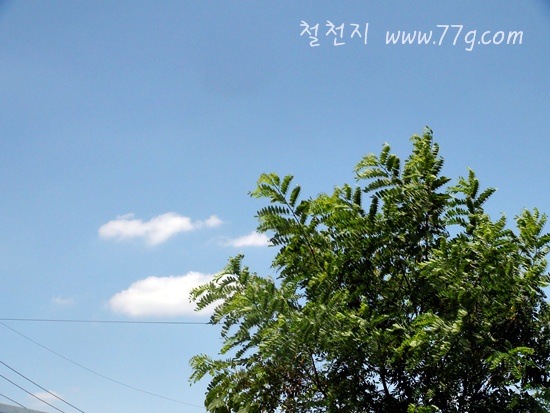 [DSC06701-20120627-1345523.jpg]