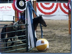 9775 Alberta Calgary Stampede 100th Anniversary - Cowboy Up Challenge Scotiabank Saddledome