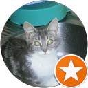 Image Google de coint sylvie