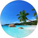 Darryl B profile picture